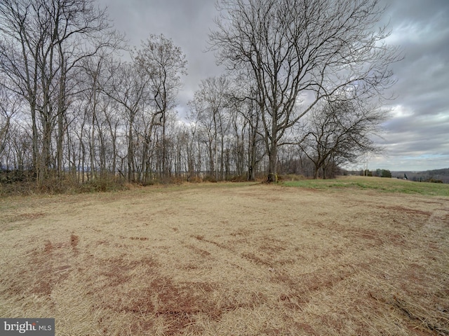12544 Woodsboro Pike, Keymar, MD 21757 - view of nature