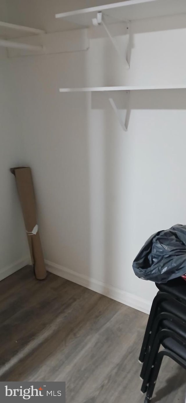 walk in closet with dark wood-type flooring