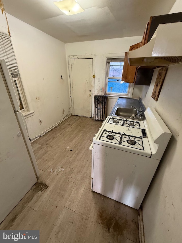 kitchen featuring light hardwood / wood-style floors, sink, white appliances, and exhaust hood