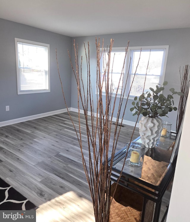 interior space featuring hardwood / wood-style flooring