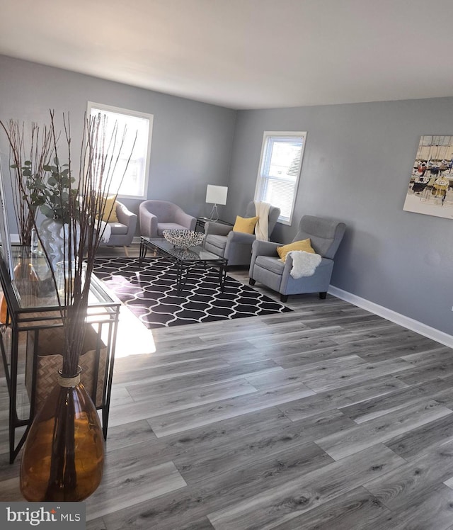 living room with wood-type flooring