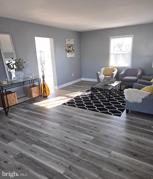 living room featuring hardwood / wood-style floors