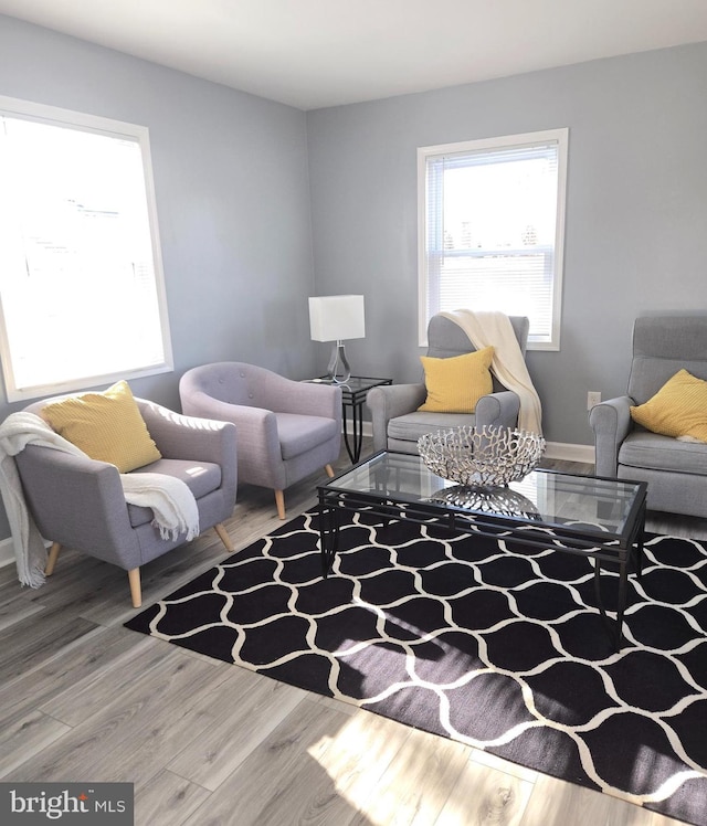 living room with hardwood / wood-style floors