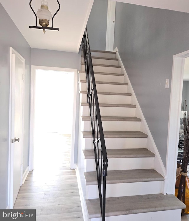 staircase featuring wood-type flooring