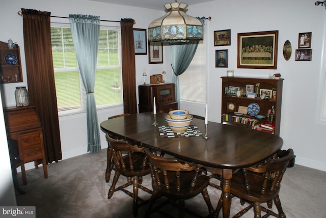 dining space featuring plenty of natural light and carpet floors