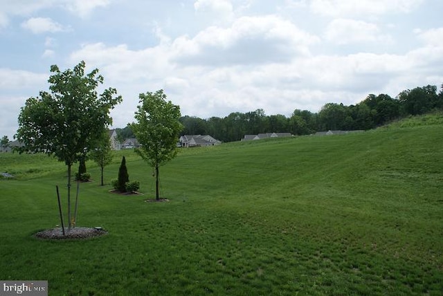 surrounding community with a yard