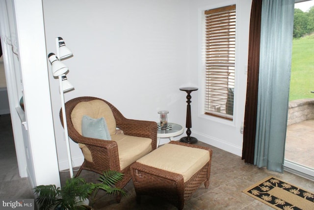 living area with a wealth of natural light