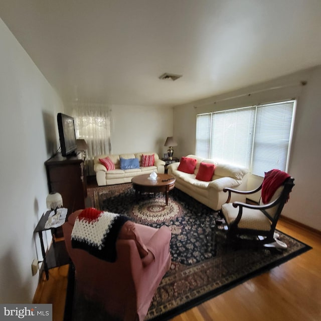 living room featuring wood-type flooring