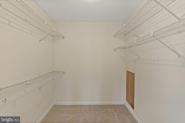 spacious closet with light colored carpet