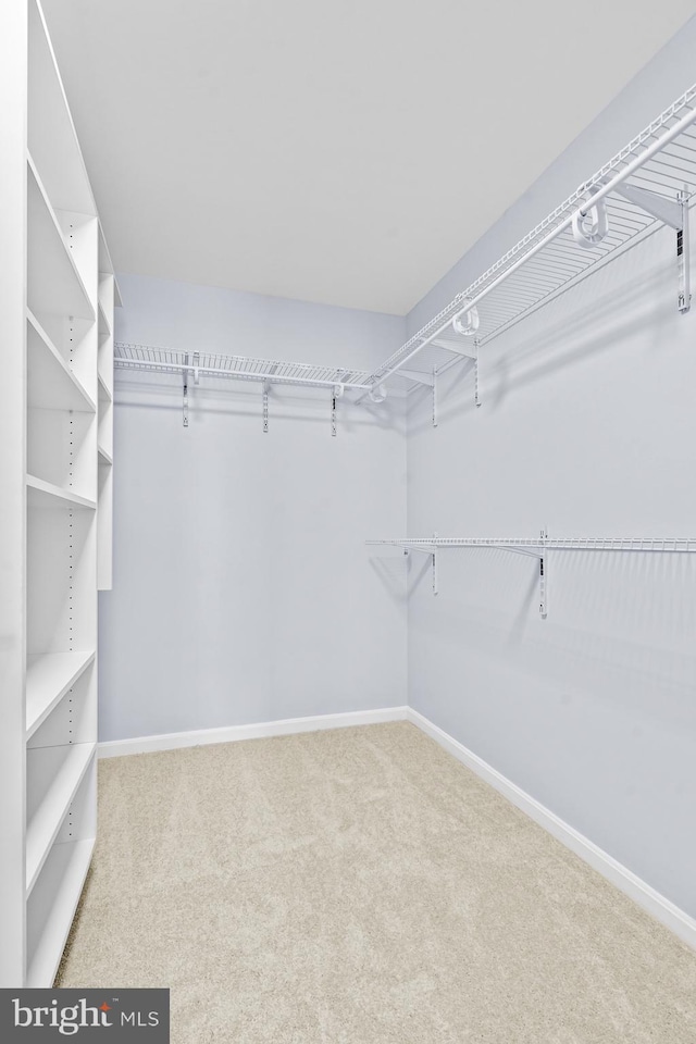 spacious closet with carpet floors