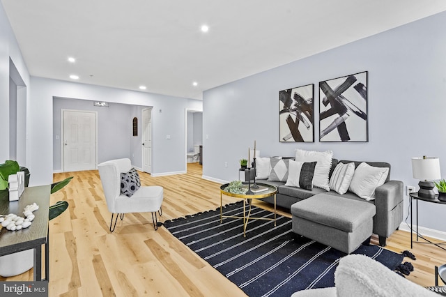 living room featuring wood-type flooring