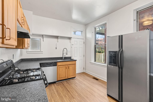 kitchen with stainless steel appliances, light hardwood / wood-style flooring, and sink