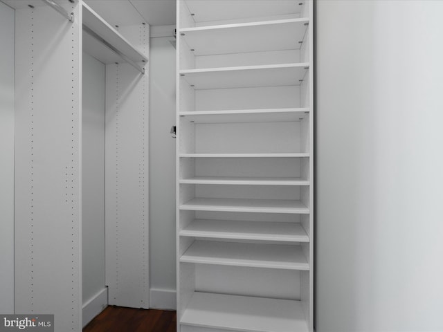 walk in closet with dark hardwood / wood-style floors