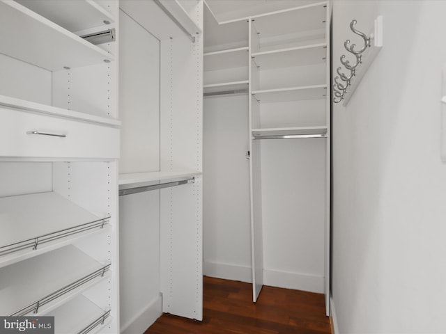 walk in closet featuring dark hardwood / wood-style floors