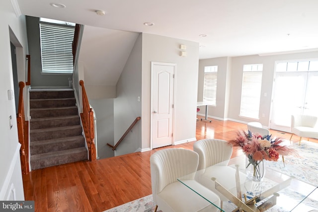 dining room with light hardwood / wood-style flooring