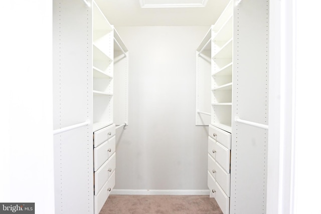 spacious closet with light carpet