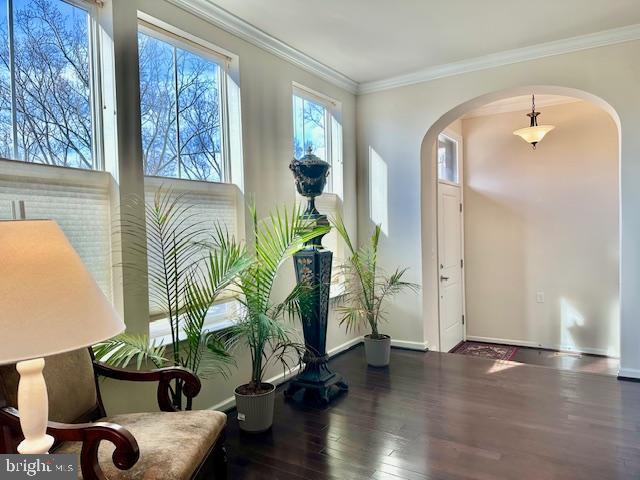 entryway featuring dark hardwood / wood-style floors and crown molding