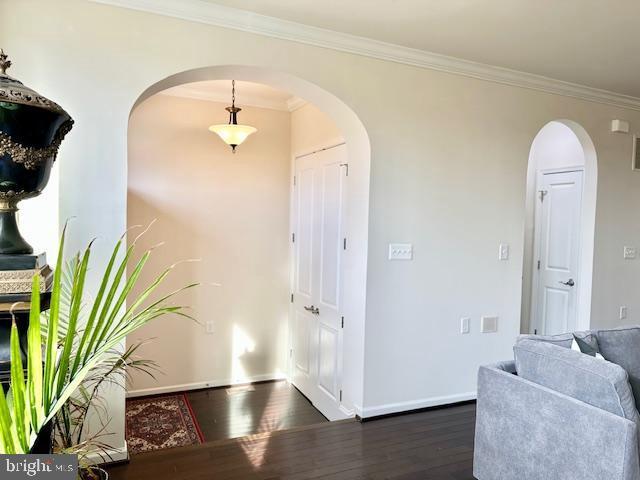 interior space with dark wood-type flooring and ornamental molding