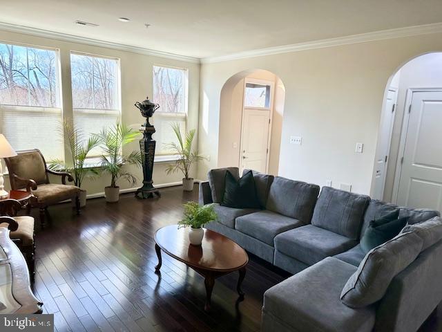 living room with dark hardwood / wood-style flooring and ornamental molding