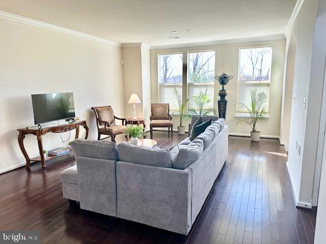 living room featuring dark hardwood / wood-style floors and ornamental molding