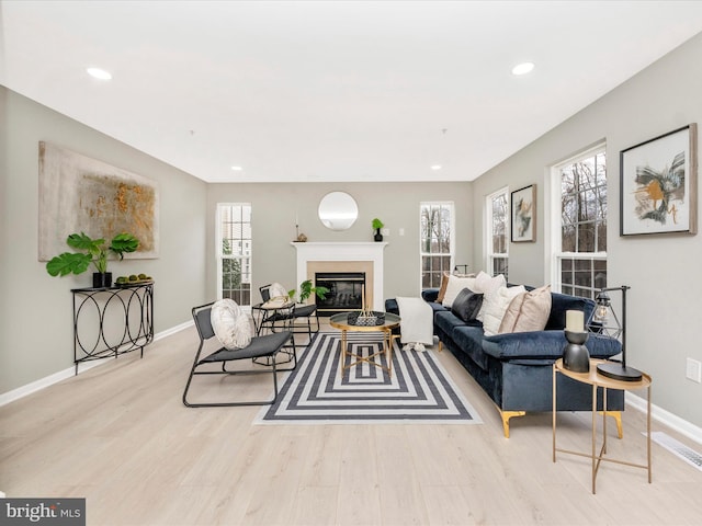 living room featuring light hardwood / wood-style flooring