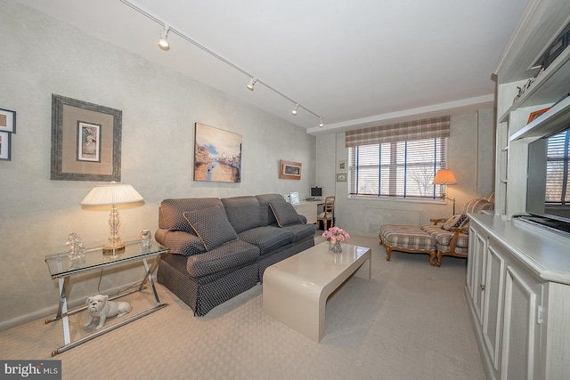 living room featuring carpet and track lighting