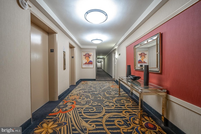 corridor with wainscoting, carpet flooring, and elevator