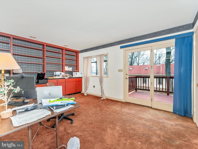 carpeted office space featuring a healthy amount of sunlight