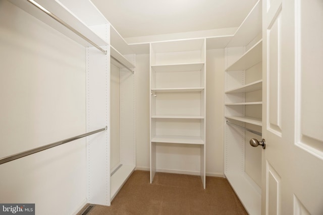 walk in closet featuring carpet floors