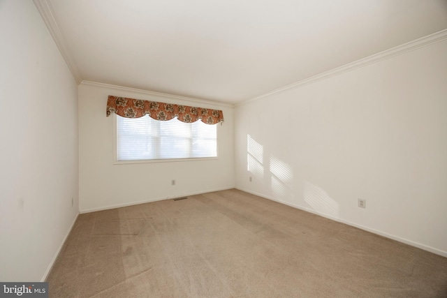 spare room featuring crown molding and carpet flooring