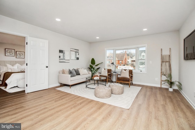 living room featuring light hardwood / wood-style flooring