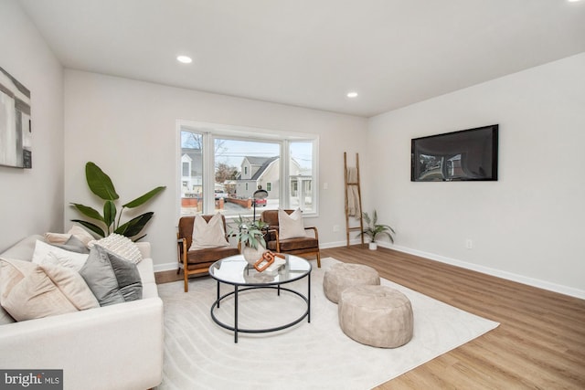 living room with wood-type flooring