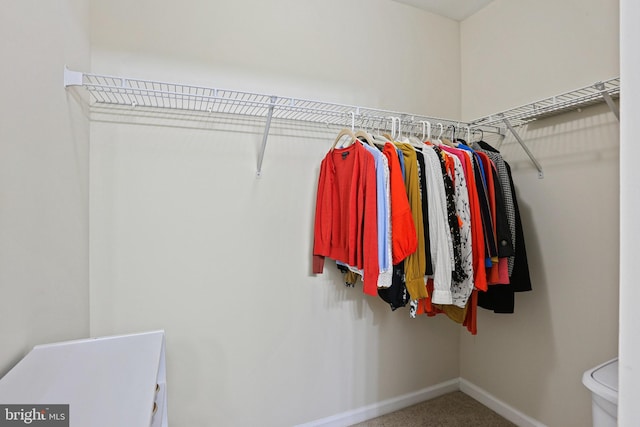 spacious closet with carpet flooring