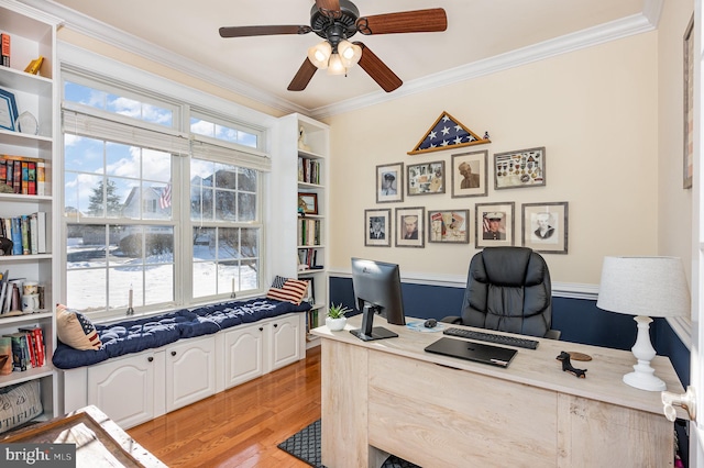 office featuring ceiling fan, light hardwood / wood-style floors, crown molding, and a healthy amount of sunlight