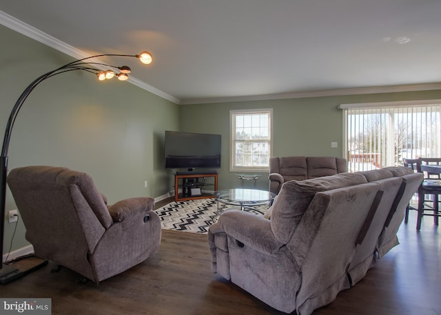 living room featuring crown molding and dark hardwood / wood-style floors