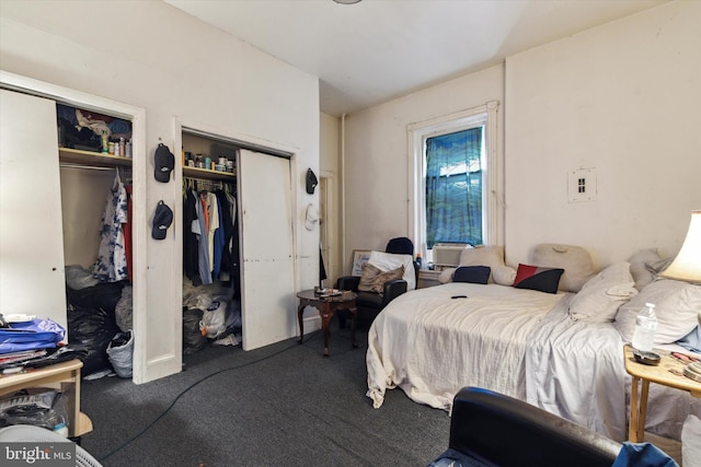 carpeted bedroom with two closets