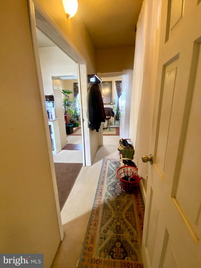 corridor with light colored carpet