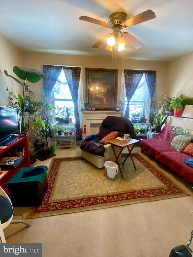 living room featuring ceiling fan and carpet