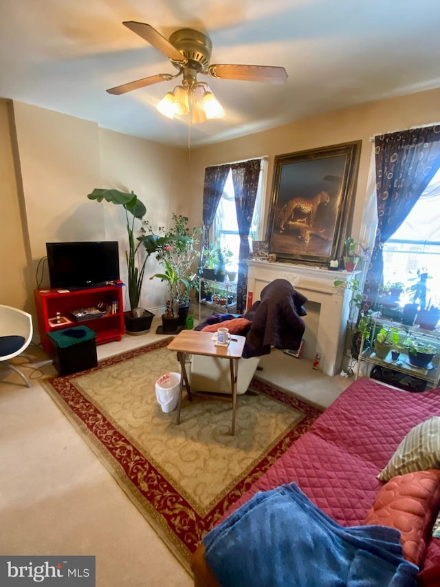 living room featuring ceiling fan