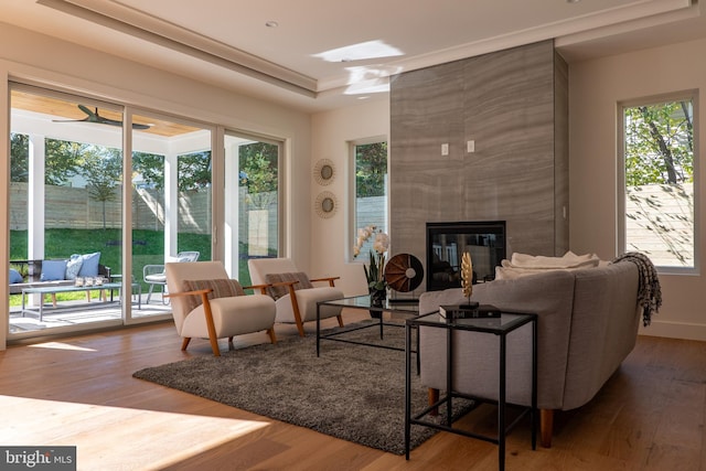 living room featuring a raised ceiling, ceiling fan, a large fireplace, and wood-type flooring