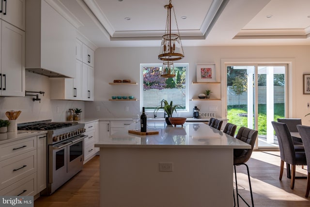 kitchen featuring a kitchen breakfast bar, a tray ceiling, range with two ovens, and white cabinetry