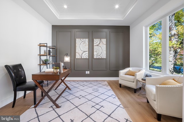 foyer entrance featuring a tray ceiling and light hardwood / wood-style floors