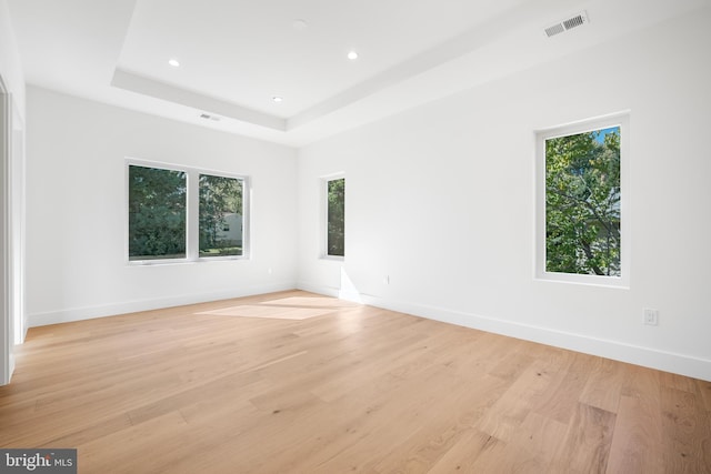 empty room featuring a tray ceiling and light wood-type flooring