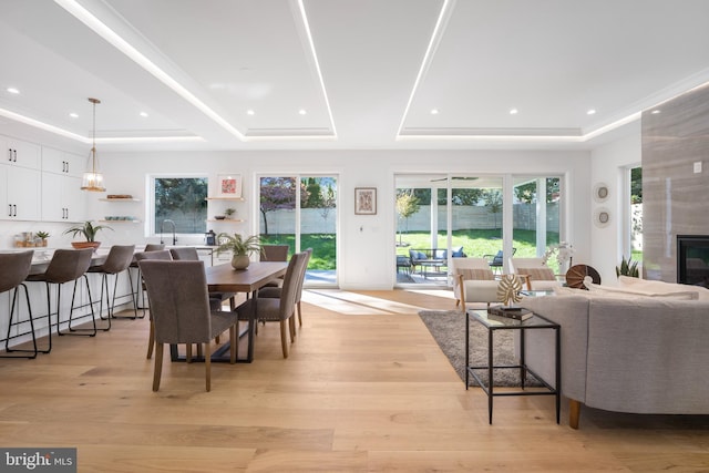 dining space featuring a tray ceiling, plenty of natural light, and light hardwood / wood-style floors