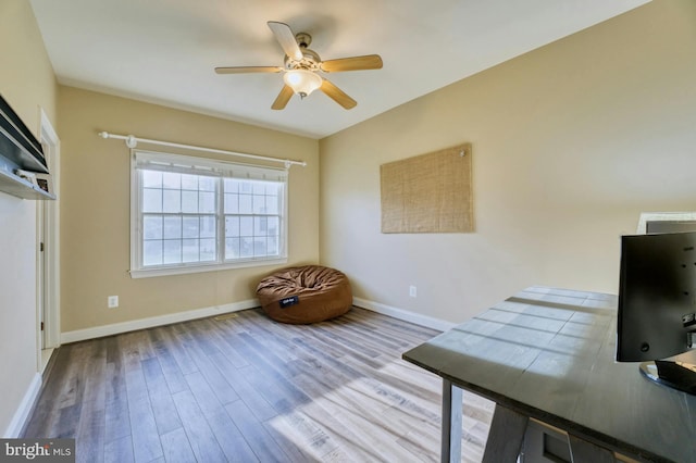 unfurnished office featuring light hardwood / wood-style floors and ceiling fan