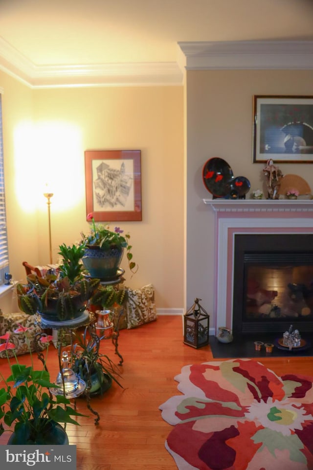 sitting room with hardwood / wood-style floors and crown molding