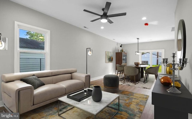 living room with hardwood / wood-style flooring and ceiling fan