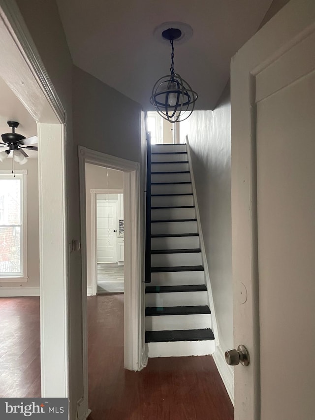 stairs with ceiling fan and hardwood / wood-style floors