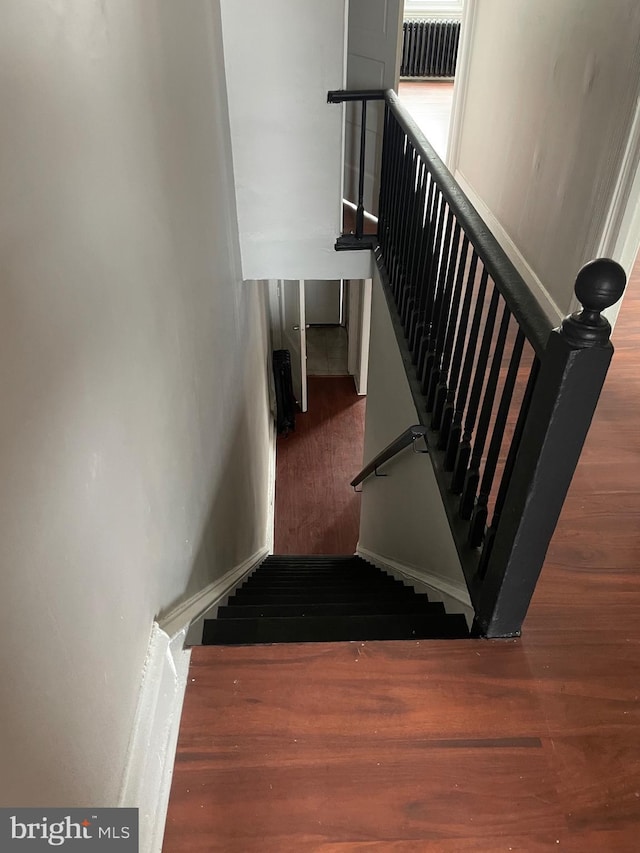 staircase featuring hardwood / wood-style flooring