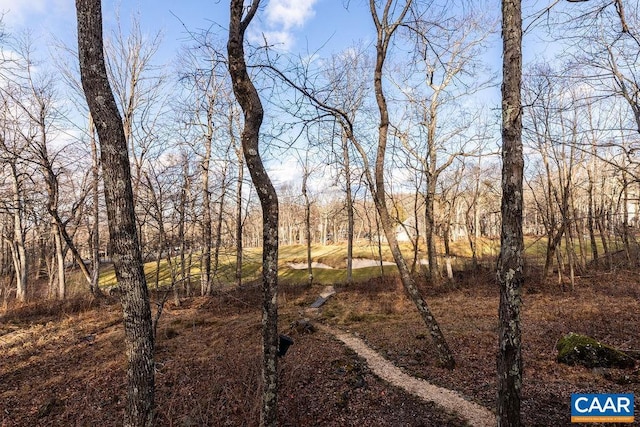 view of landscape